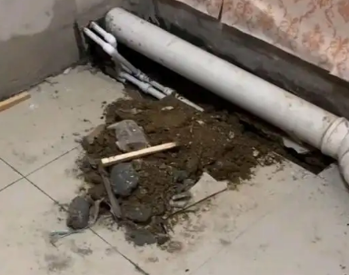 延津卫生间漏水检测哪家好